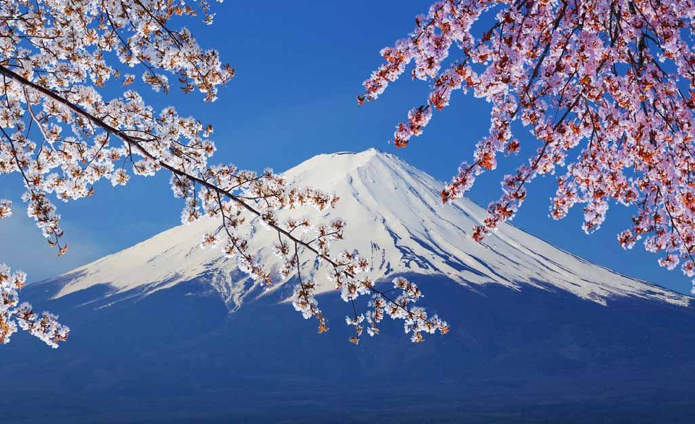 観光・宿泊事業